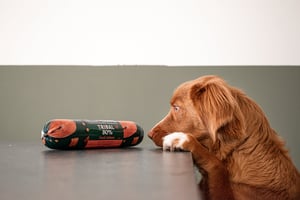 Teerine natvoer voor je hond: dé frisse oplossing