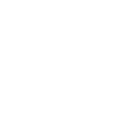 business-report
