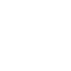 insurance