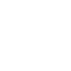 presentation