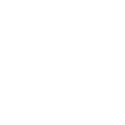 witness