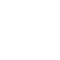fast-delivery