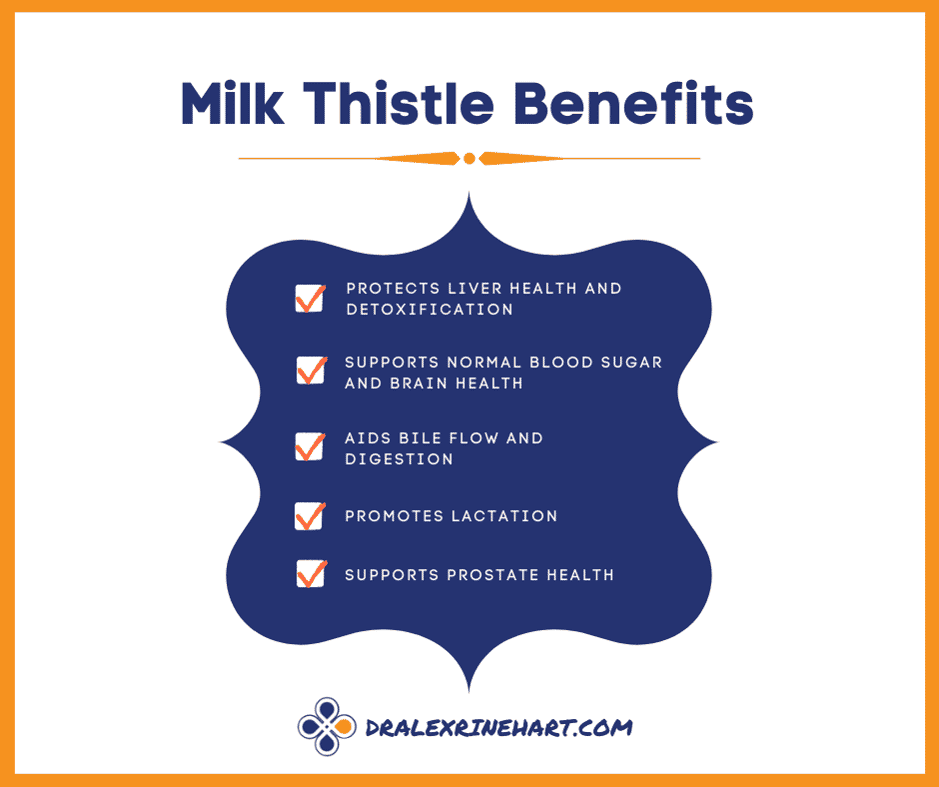 Milk Thistle Benefits