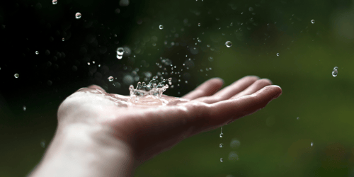 Le bon filtre à eau pour la bonne utilisation