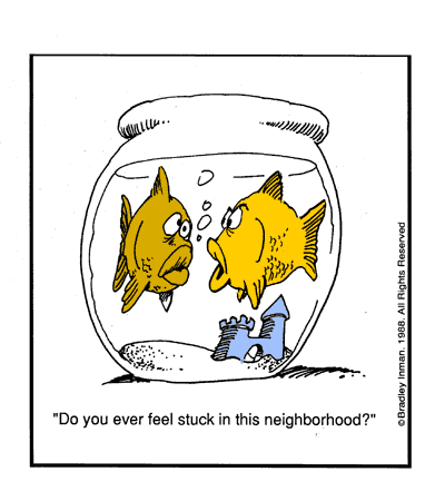 fishbowl_neighbourhood