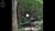 forest bathing video