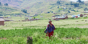 old woman from colombian community in large green field