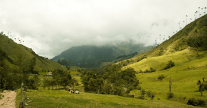 environmental sustainability Colombia