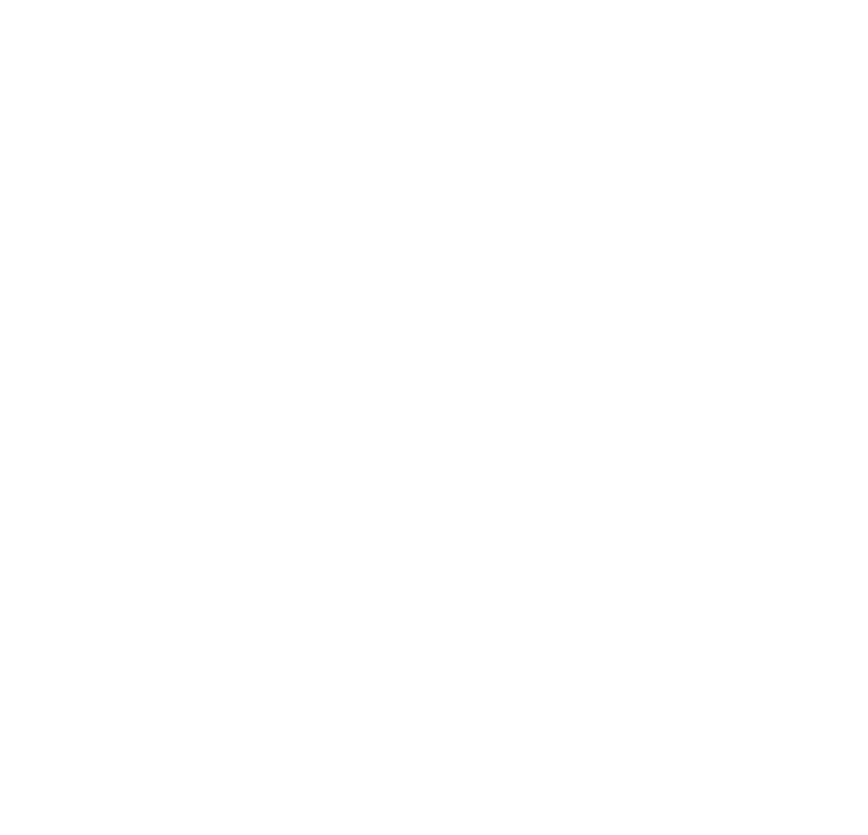 API icon white