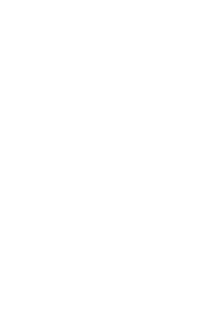 LIghtning speed icon white