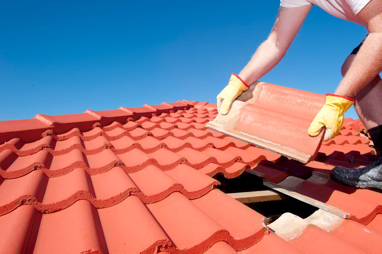 Sarasota Property Management Tips: Skipped Maintenance Kills Cash Flow