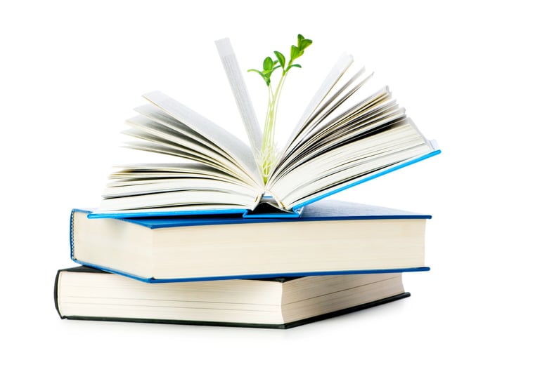 Income Properties in Bradenton: How to Get the Knowledge You Need for Success