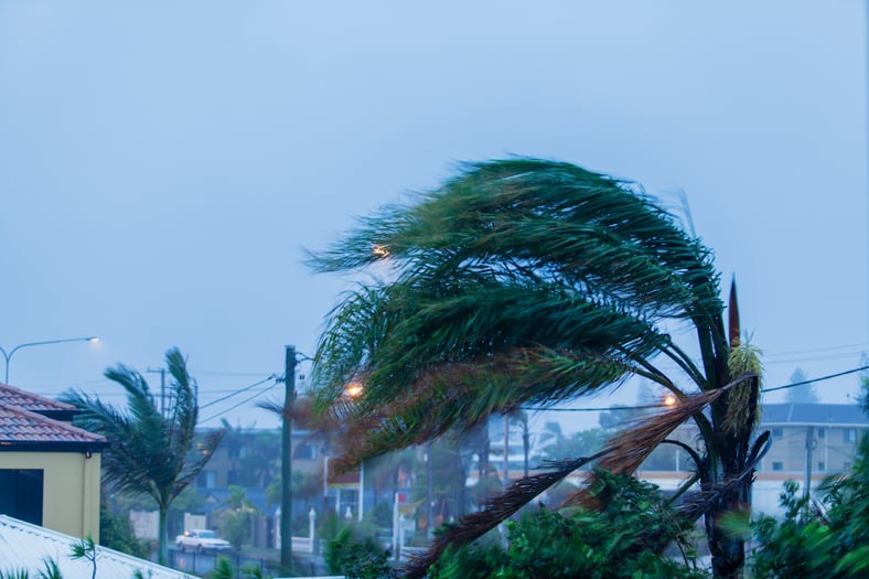 Renters Insurance Matters: Tips From Sarasota Property Management