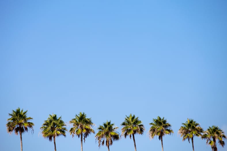 Insurance Is Crucial! | Palm Island Vacation Rental Management Tips