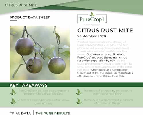 One-Sheet-Insert CITRUS RUST MITE