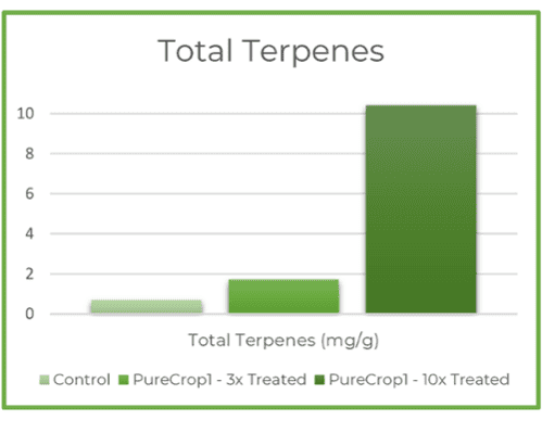 Case studies _Terpene Comparison-1-1