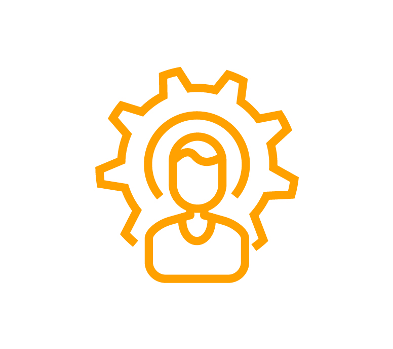 lan-professional services