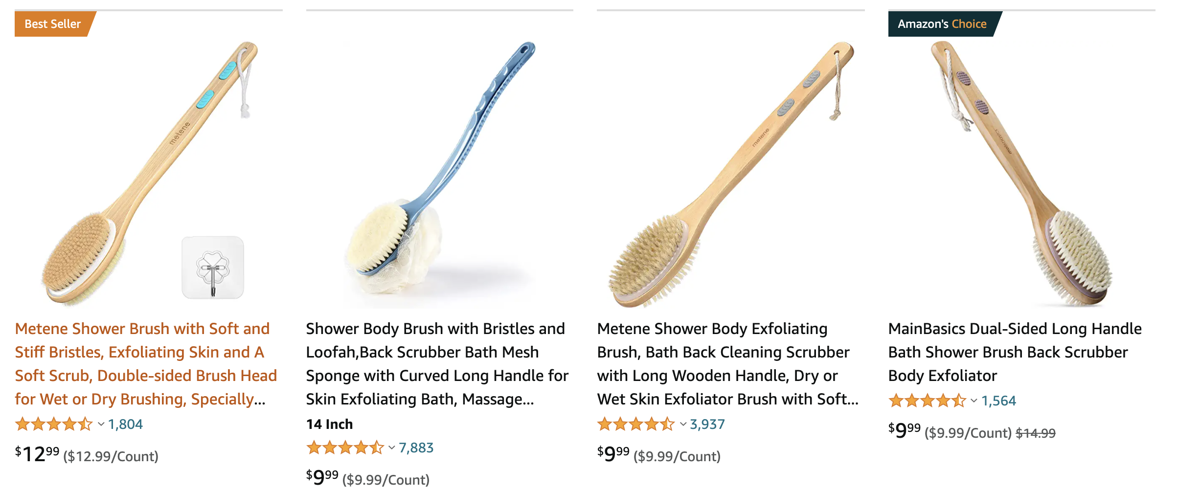 Shower Brush