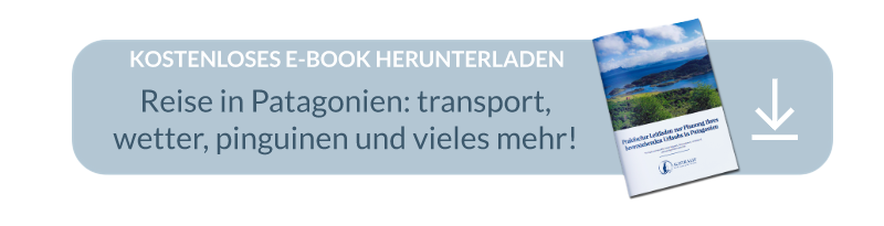 New call-to-action