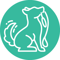 Pet care paperwork software