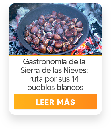 Nueva llamada a la acción