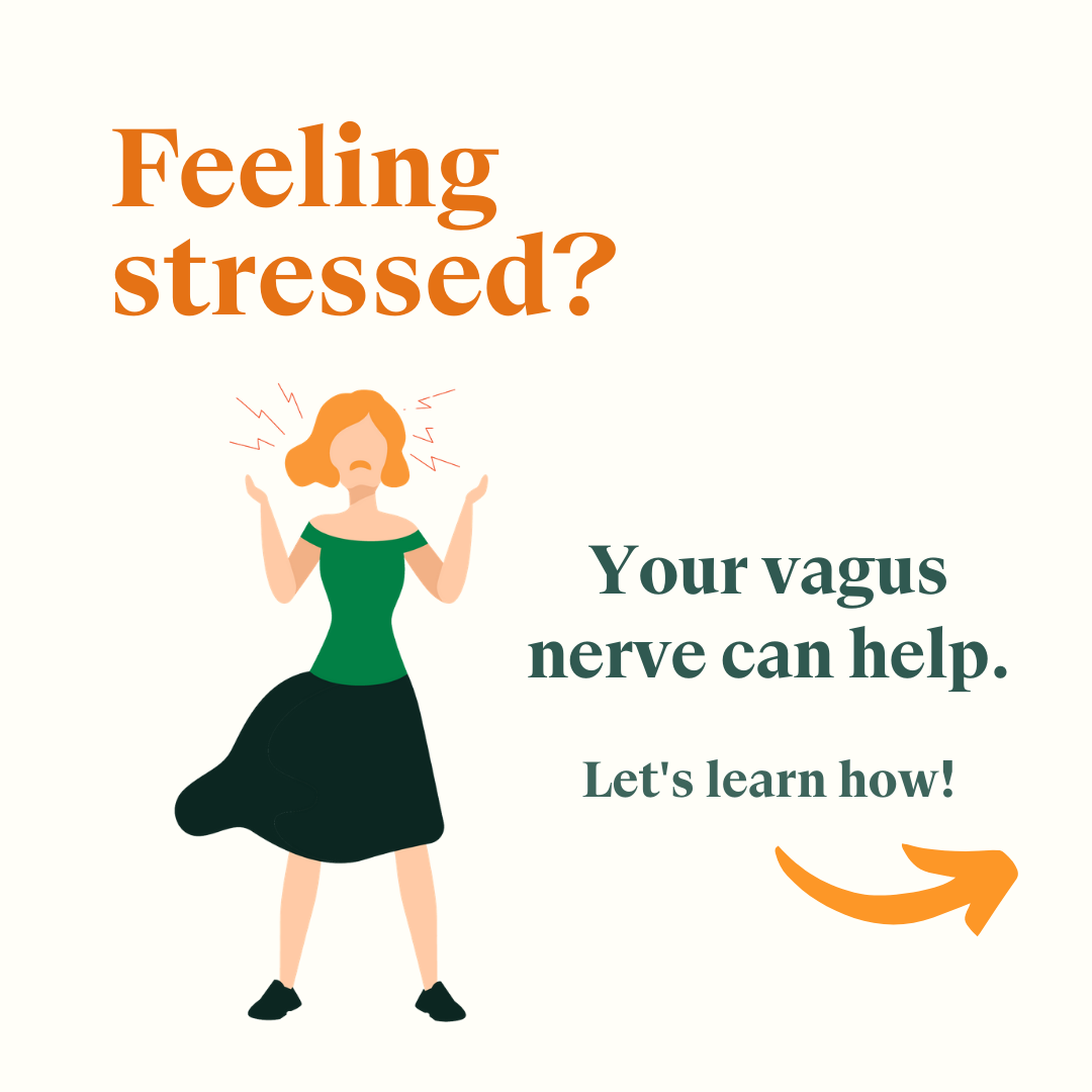 Stimulate This Nerve to Strengthen Your Stress Response
