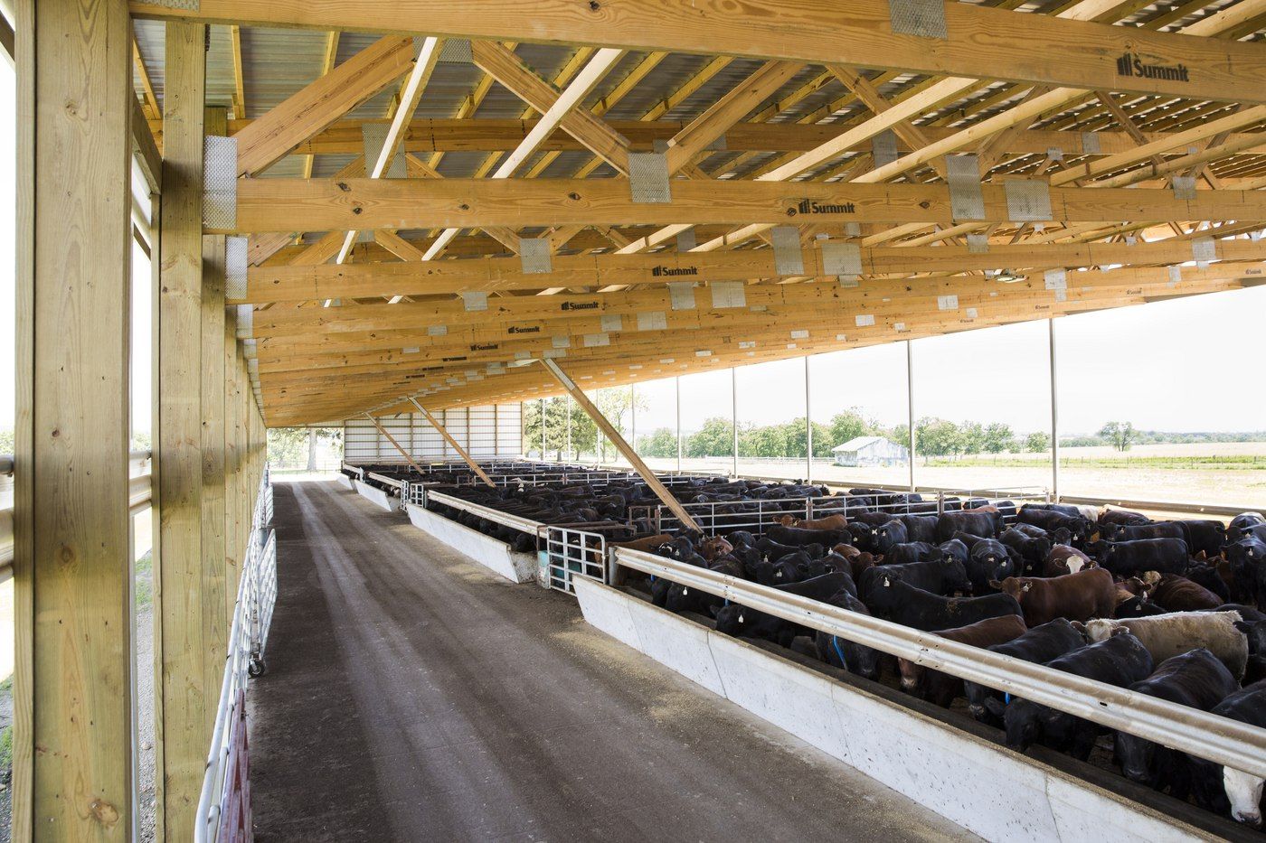 Beef Barns | How to Build a Monoslope Facility | Summit Livestock