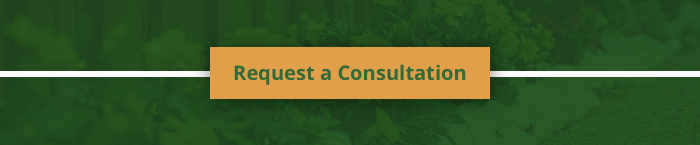 Request a Consultation