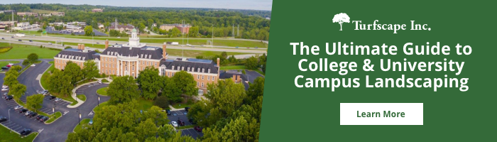 Ultimate Guide to College & University Landscaping