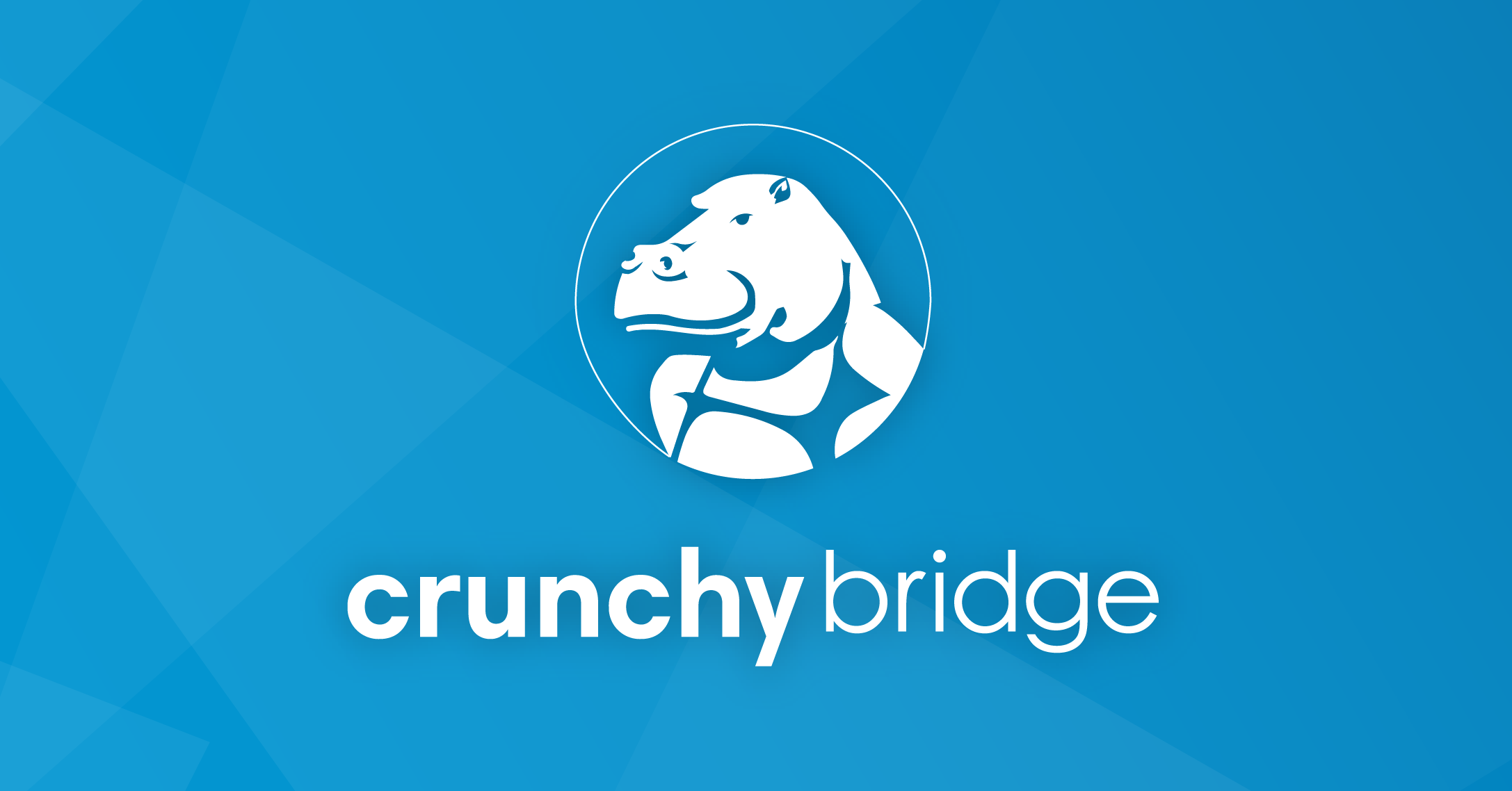 Crunchy Data Announces Fully Managed Cloud Postgres Database Service