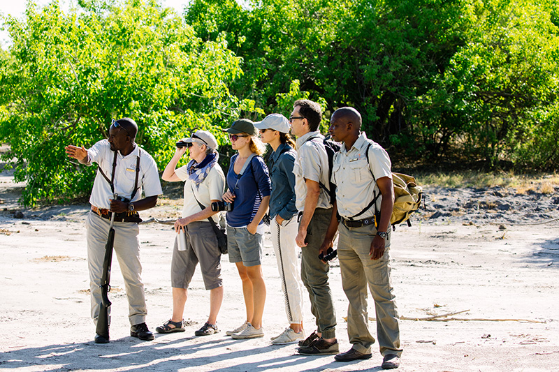 walking safari group travel A Travel Bubble - Exclusive-use of Camps african bush camps safari