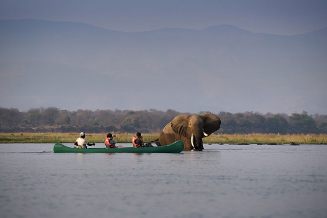 SMALL CANOE-Zambezi-Expeditions-Mana-Pools-National-Park-Zimbabwe-Safari-Tented-Camp-African-Bush-Camps-Canoe-with-elephant-1-1024x684