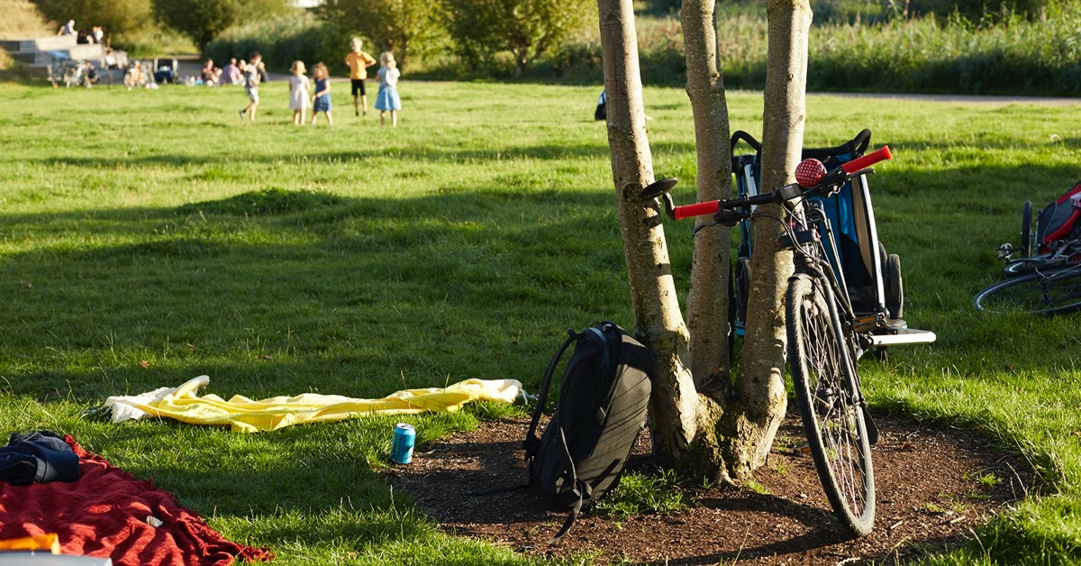 Crowdsourcing ideas for the ‘Park of the Future’