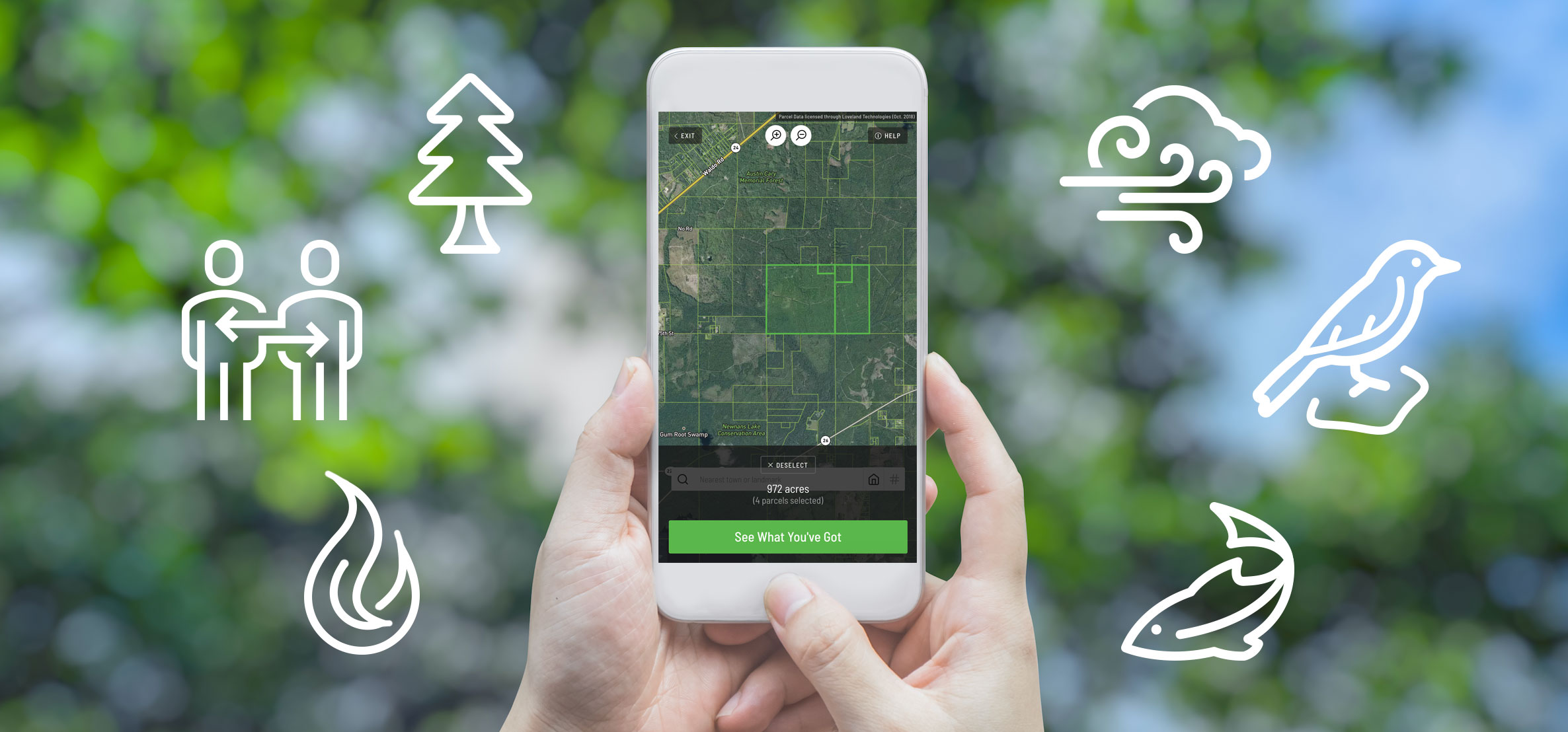 Fun Nature Apps Use in Your Forest
