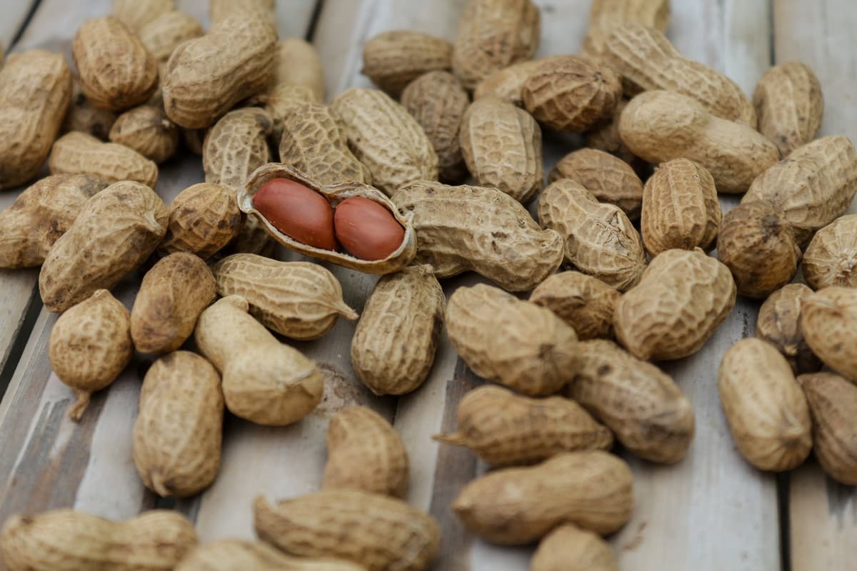 Peanuts on a table