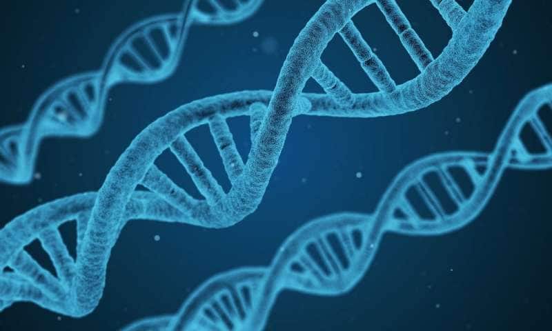 Close up of DNA strand