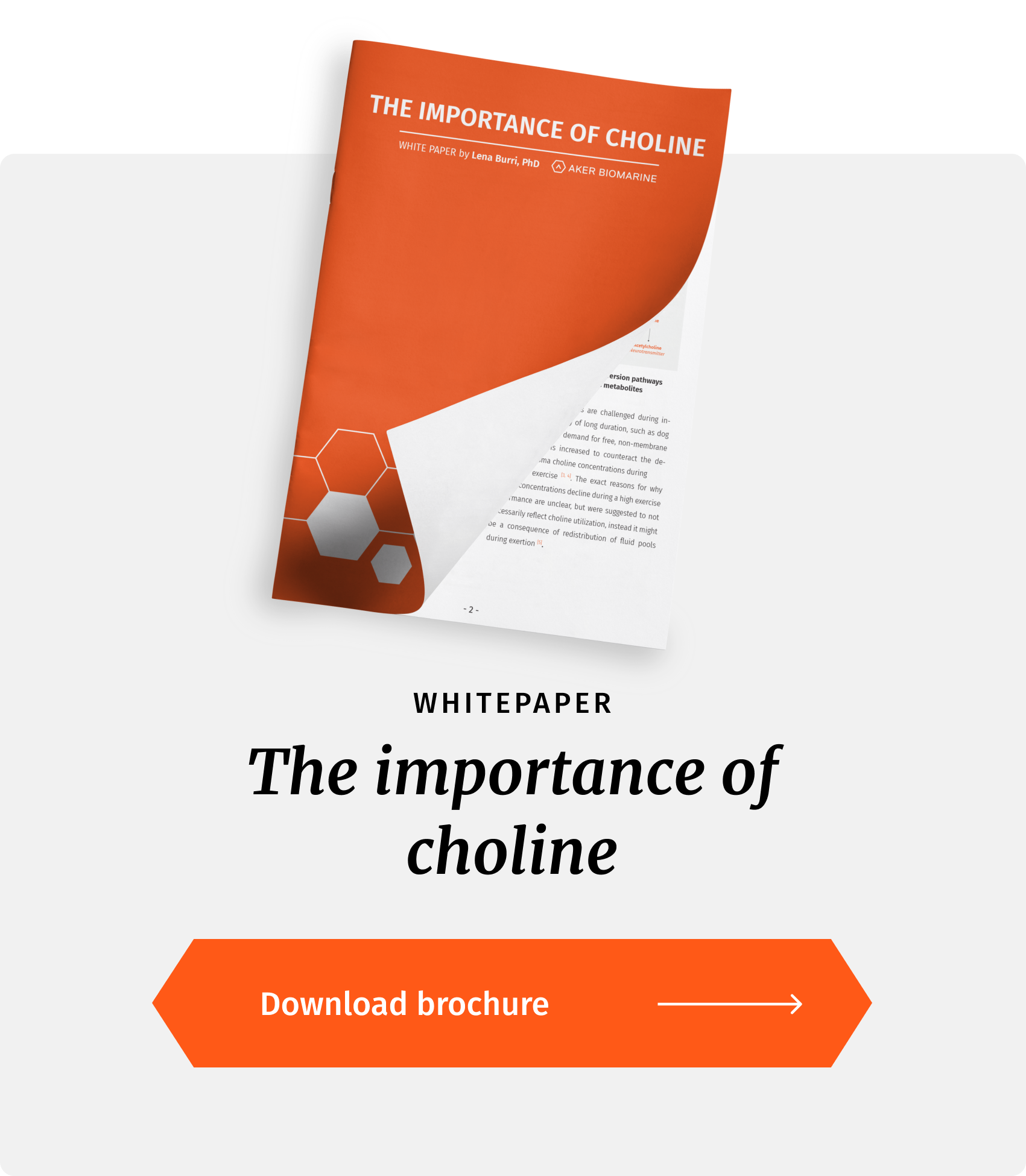 Choline 2024 for dogs