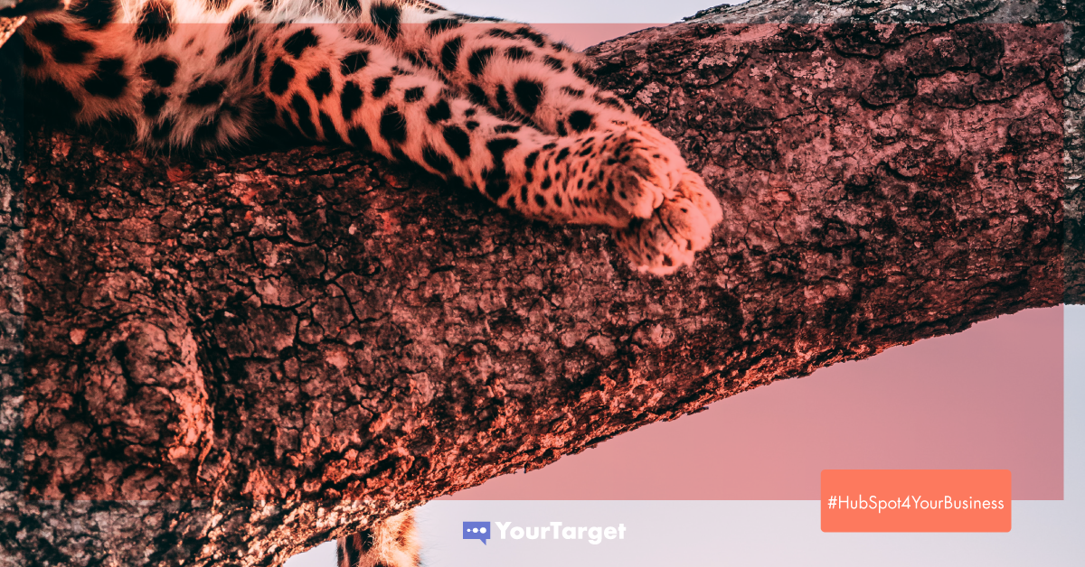 EN_HubSpot4YourBusiness_COVER