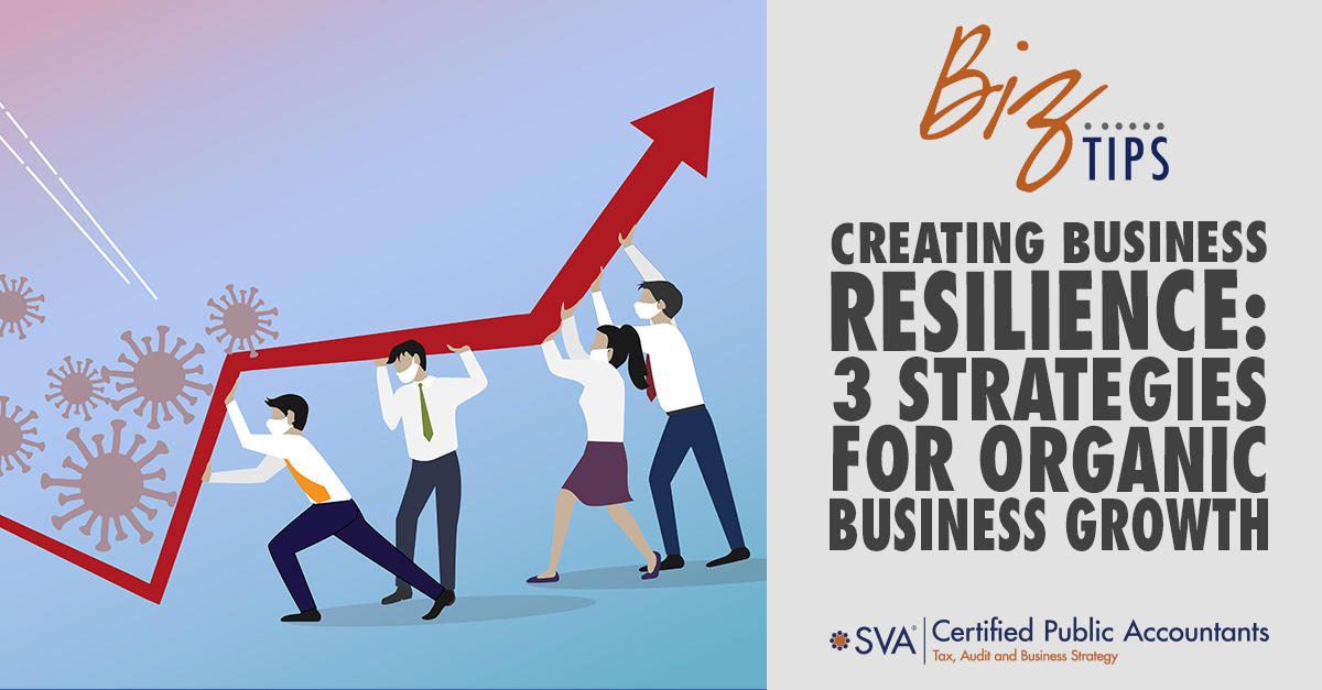 Business Resilience: Organic Business Growth –3 Strategies