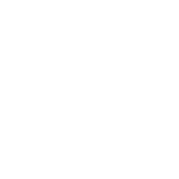 idea