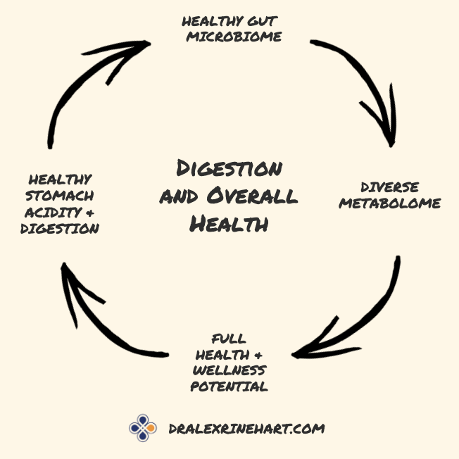 digestion and overall health