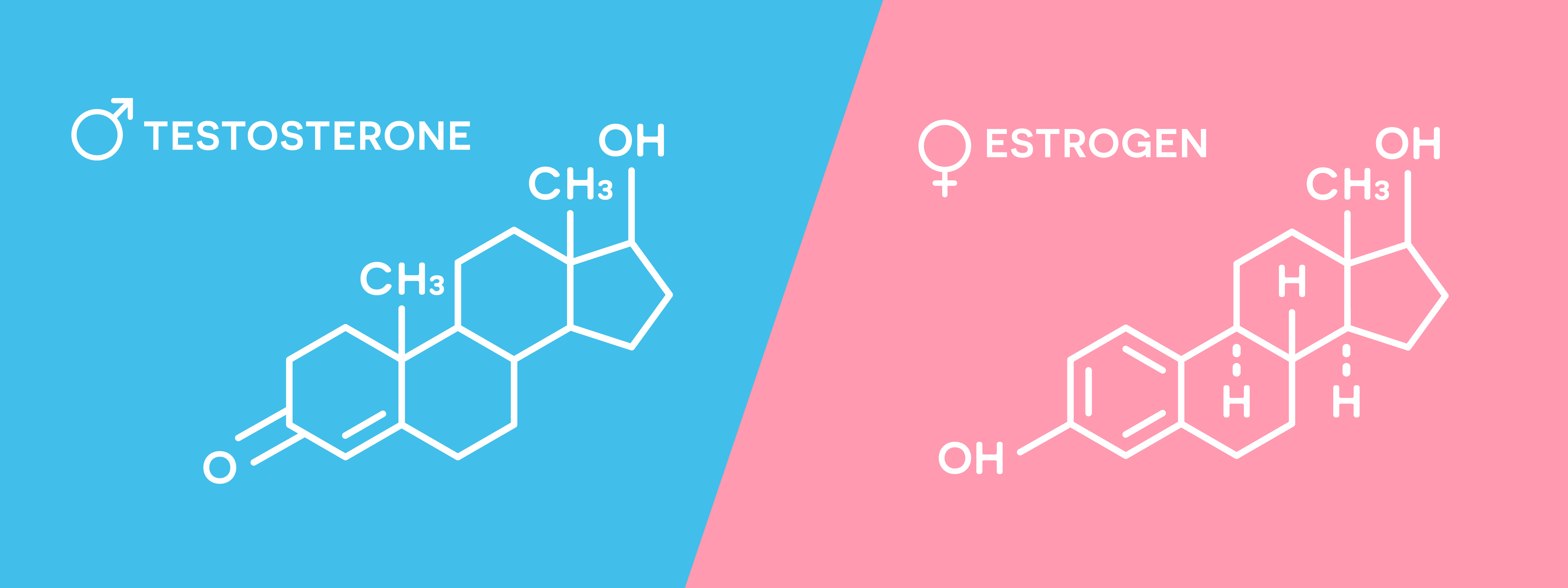 improve estrogen detox naturally