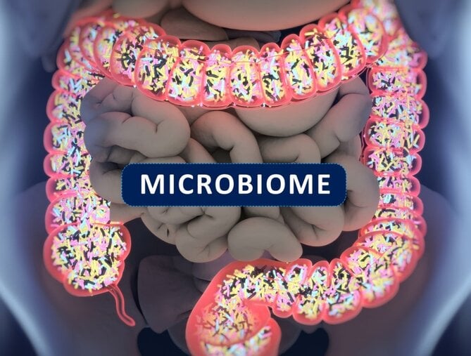 gut microbiome and weight