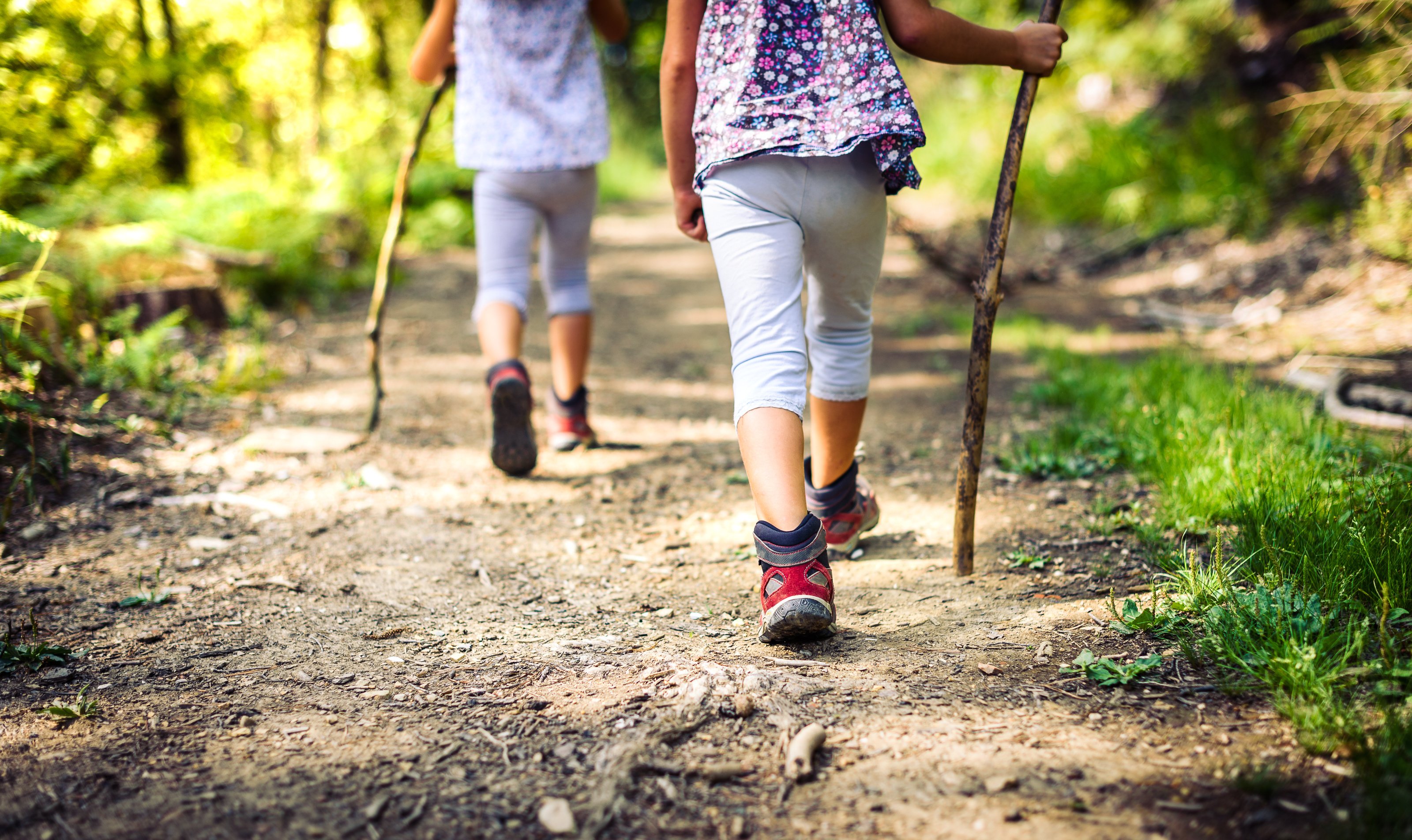 Little girls hiking