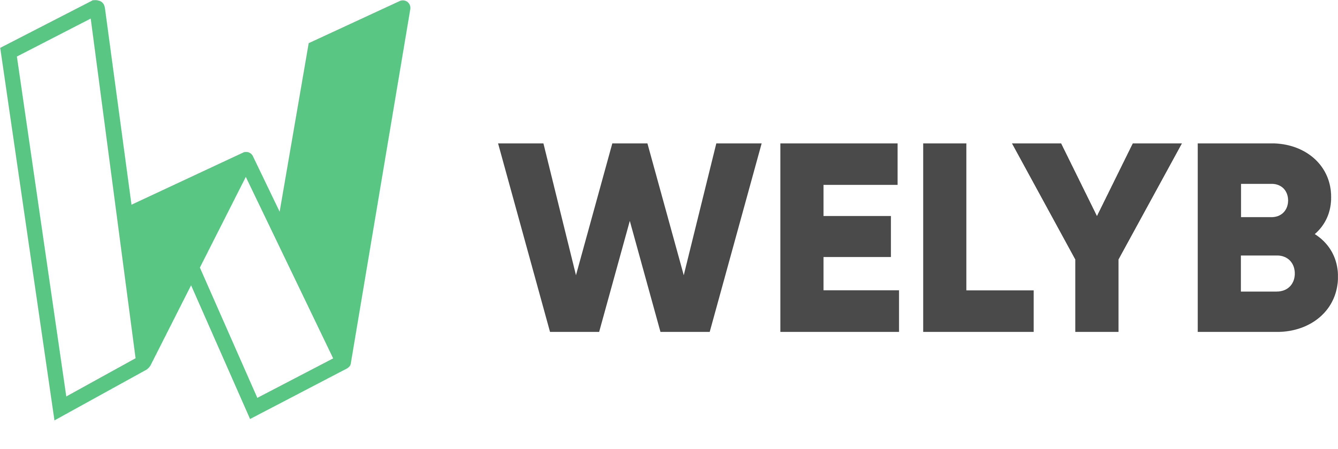 welyb-logo