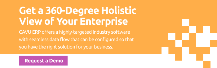 demo-industry-erp-software-cavu