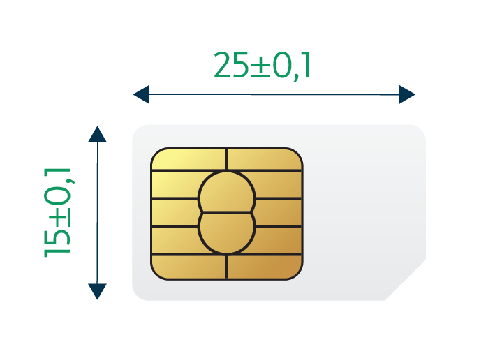 Standard (Mini) SIM 2FF
