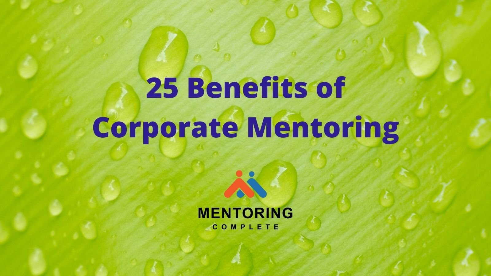 25 Benefits of Corporate Mentoring