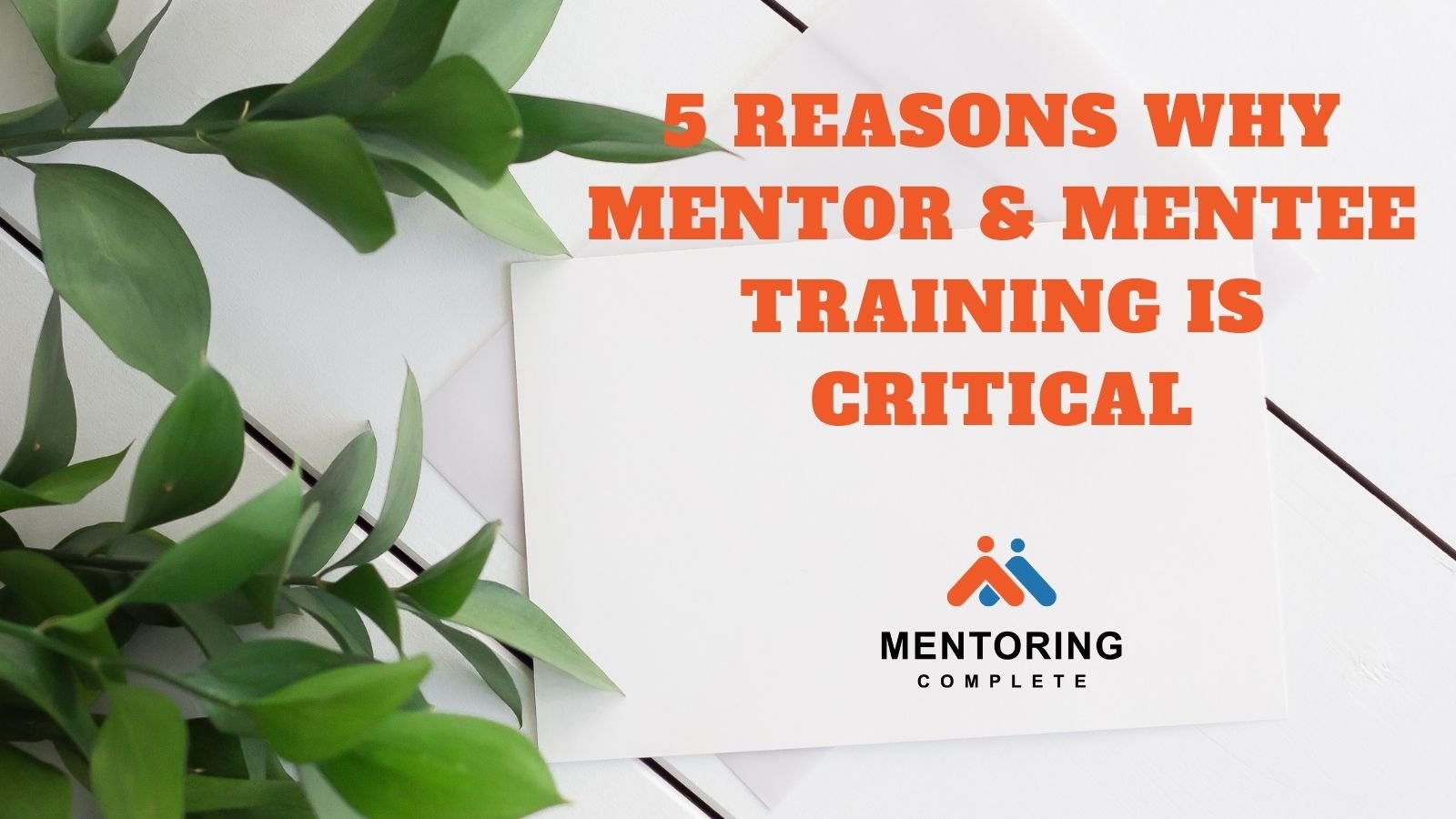 5 Reasons Why mentor & mentee training is critical (1)