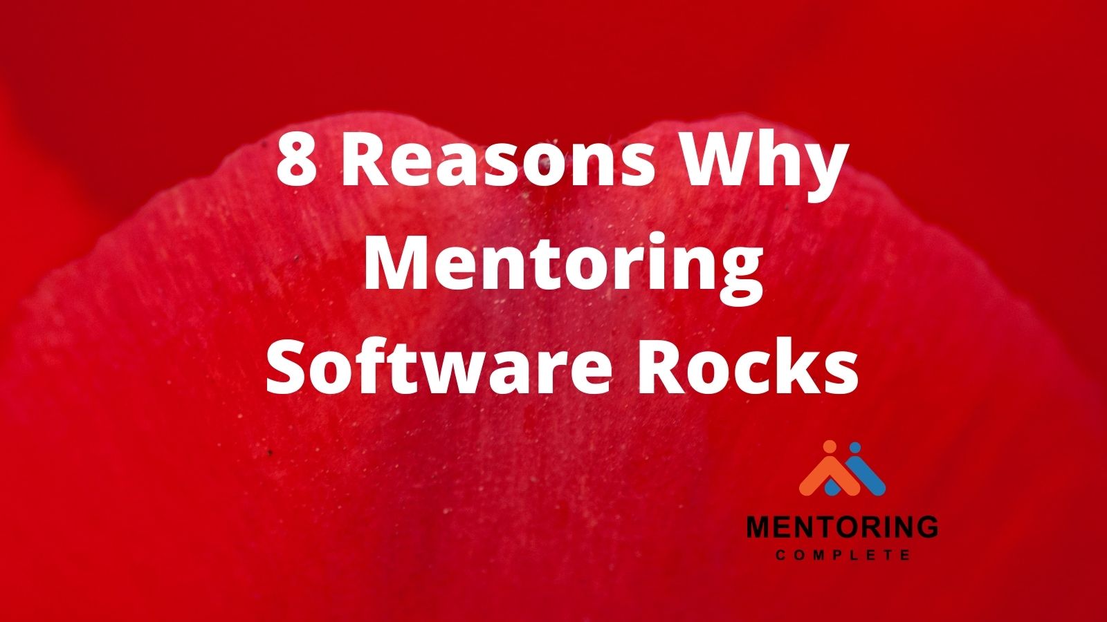 8 Reasons Why Mentoring Software Rocks